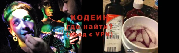 мдпв Инта