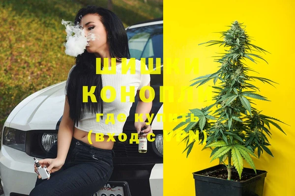 мдпв Инта