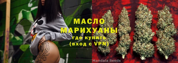 мдпв Инта