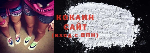 мдпв Инта