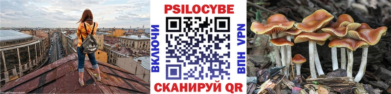 где можно купить   Серпухов  Псилоцибиновые грибы мухоморы 